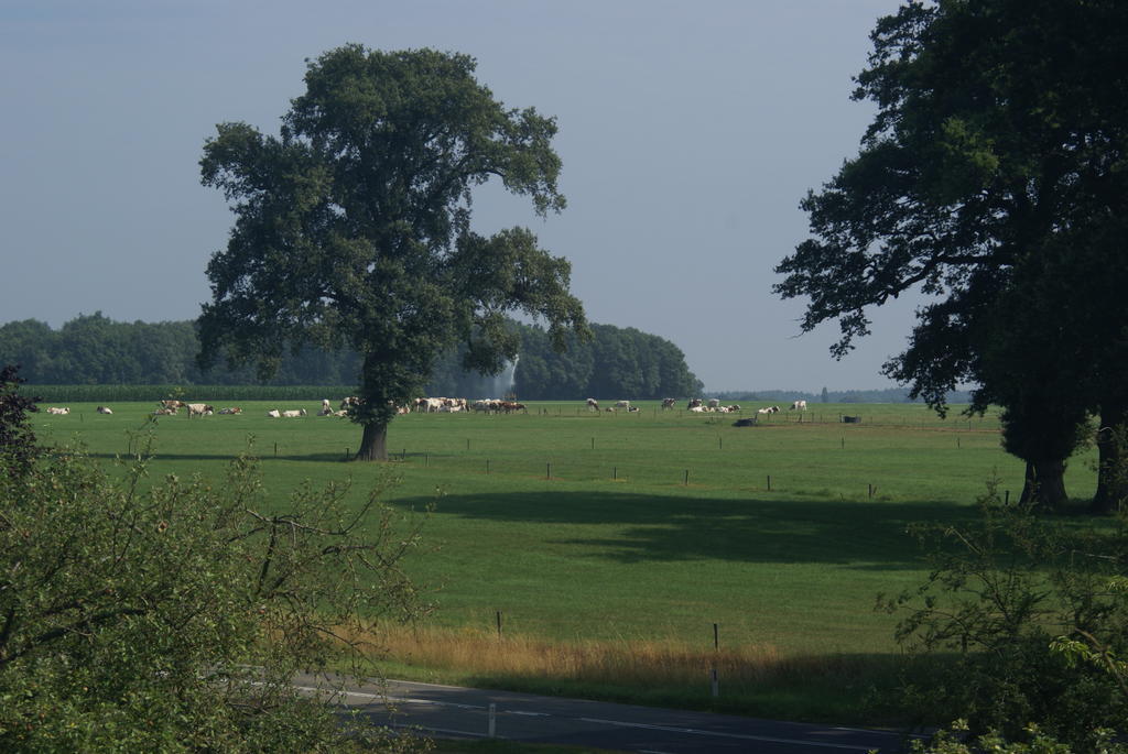 Pension De Hoestinkhof Markelo Exterior photo